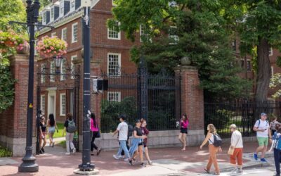 Harvard remains the nationâs richest school as college endowments keep growing